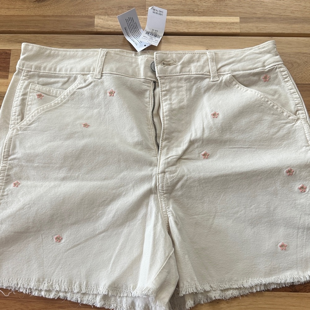 American Eagle Boyfriend Shorts
